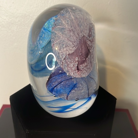 Caithness RARE "Spirits of the Sea" Extra Large 3 Jellyfish Paperweight 3/100 - Picture 7 of 10